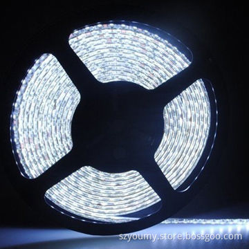 600 LEDs 3528SMD Waterproof LED Flexible Strip Light, LED Ribbon 5M/12V